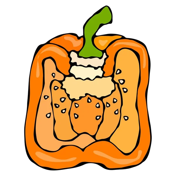 Mezza paprica all'arancia, peperone o peperone bulgaro dolce. Isolato su sfondo bianco. Illustrazione realistica e Doodle stile disegnato a mano schizzo vettoriale . — Vettoriale Stock
