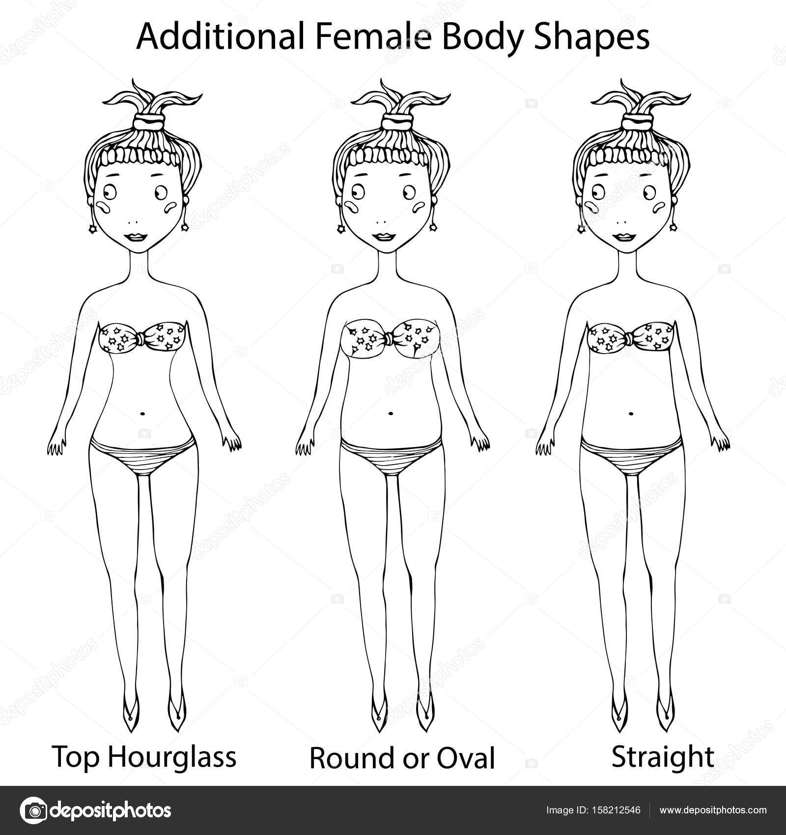 Female Body Structure Best Shops