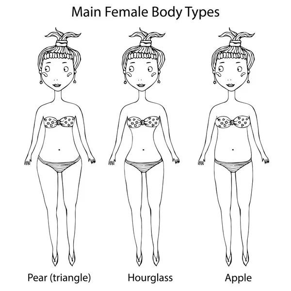 Tipos principales de forma de cuerpo femenino. Reloj de arena, pera o triángulo y manzana. Realista dibujado a mano Doodle estilo Sketch. Ilustración vectorial aislada sobre un fondo blanco . — Vector de stock