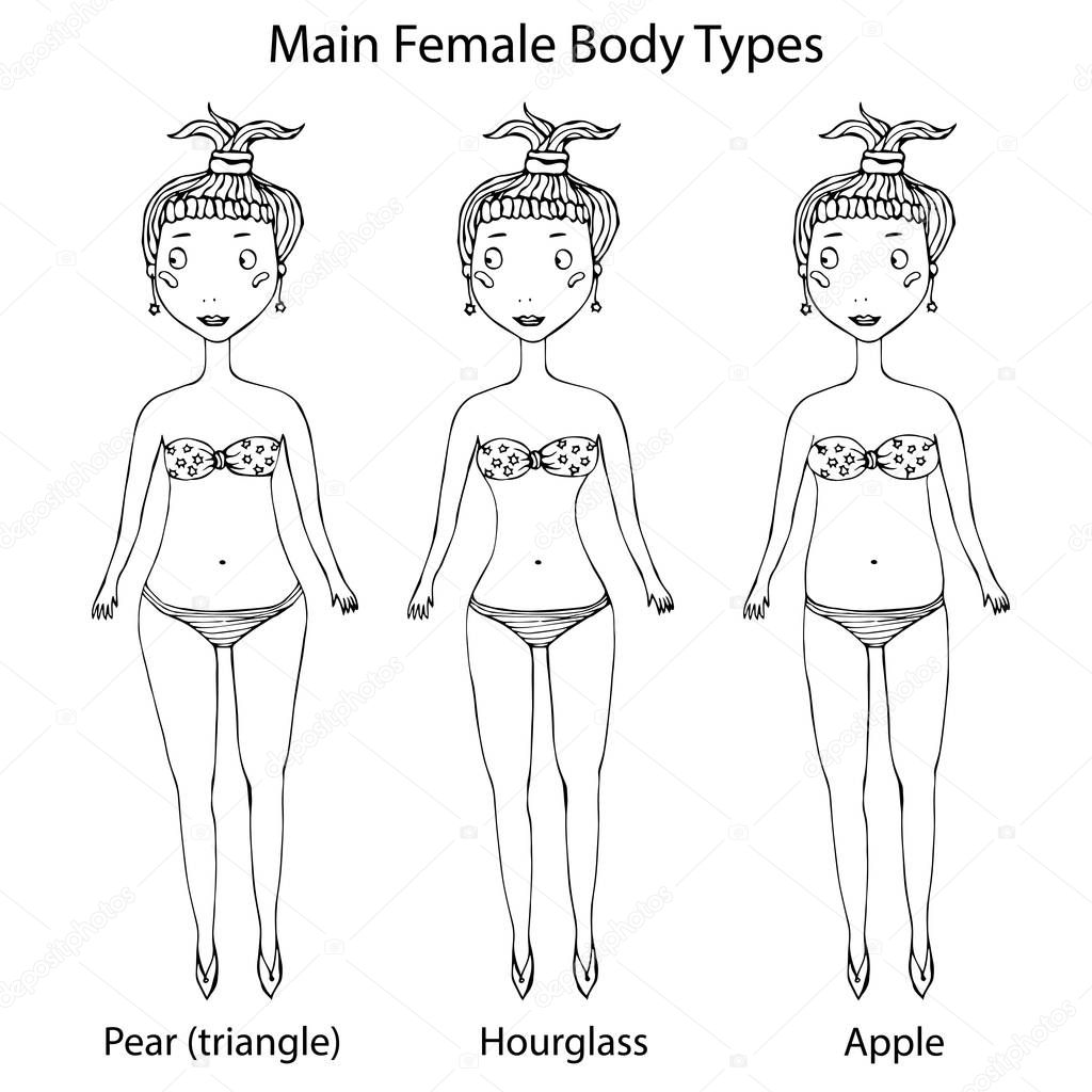 Main Female Body Shape Types. Hourglass, Pear or Triangle and Apple. Realistic Hand Drawn Doodle Style Sketch. Vector Illustration Isolated On a White Background.