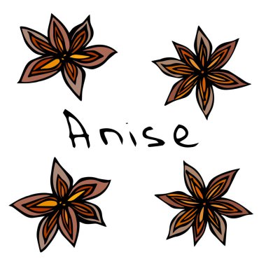 Yıldız anason. Beyaz bir arka plan üzerinde izole vektör çizim. Gerçekçi elle çizilmiş Doodle stil kroki.