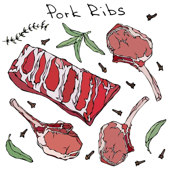 Row Pork Ribs and Herbs. Realistic Vector Illustration Isolated Hand Drawn Doodle or Cartoon Style Sketch. Fresh Meat Cuts. — Stock Vector