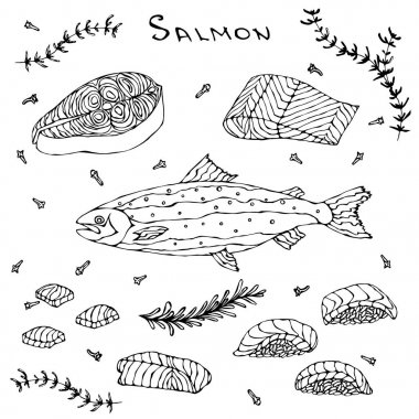 Biftek, fileto, dilimleri ve deniz ürünleri menü için kırmızı balık somon suşi. Beyaz bir arka plan üzerinde izole vektör çizim. Gerçekçi elle çizilmiş Doodle stil kroki.