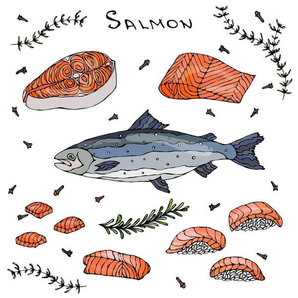 Steak, filé, szelet és Sushi piros hal a lazac menü tenger gyümölcsei. Vektoros illusztráció elszigetelt fehér Background. Reális kézzel rajzolt firka stílus vázlat. — Stock Vector
