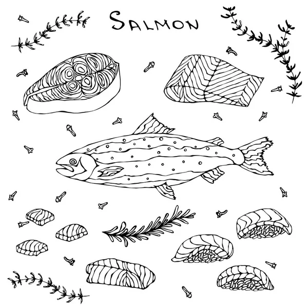 Μπριζόλα, φιλέτο, φέτες και σούσι κόκκινα ψάρια σολομών για μενού θαλασσινών. Vector εικονογράφηση απομονωθεί σε λευκό φόντο. Ρεαλιστική χέρι Doodle στυλ σκίτσο. — Διανυσματικό Αρχείο