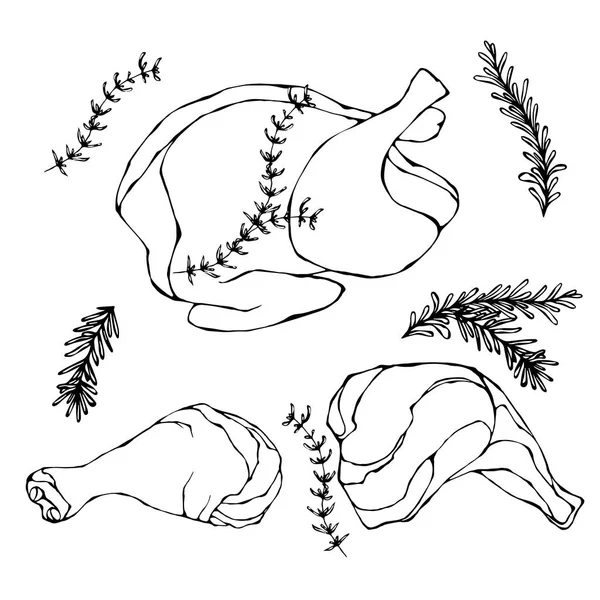 フライド チキンや七面鳥における枝肉。調理された鶏の肉。ベクター グラフィックは、白い背景で隔離。現実的な手描き落書きスタイル スケッチ. — ストックベクタ