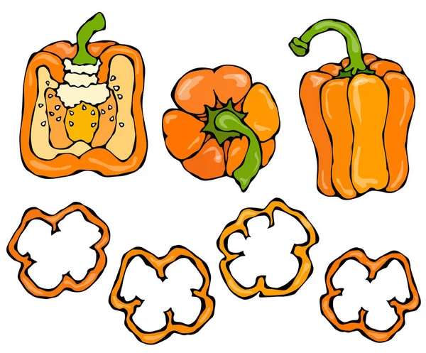 Orange Bell Peper Set. Mitad de pimentón dulce y Anillos de cortes de pimienta. Verduras crudas maduras frescas. Cocina Vegana Saludable. Dibujo de mano de ilustración vectorial. Estilo Doodle Savoyar . — Archivo Imágenes Vectoriales