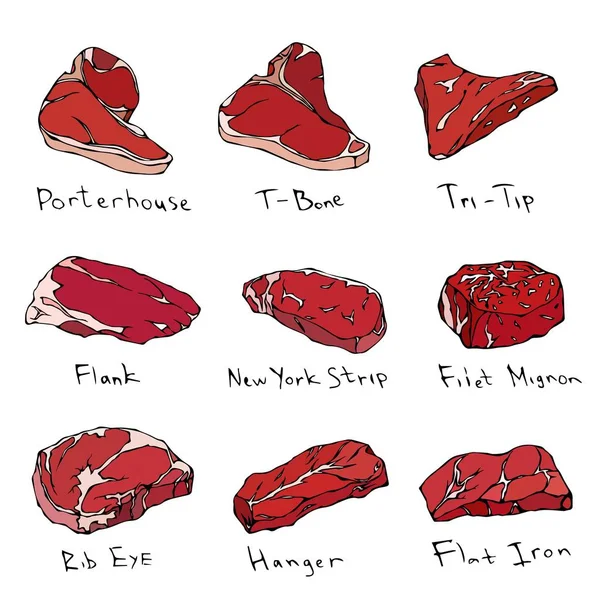 Conjunto de tipos de bifes mais populares. Cortes de carne. Guia de carne superior para Butcher Shop ou Steak House Restaurant Menu. Ilustração desenhada à mão. Estilo Doodle Savoyar. Casa de porco, T-bone, Tri-Tip, Flank, Rib Eye . — Fotografia de Stock