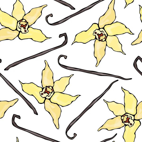 Στικ βανίλιας και λουλούδι μοτίβο απρόσκοπτη ατελείωτες. Κλαράκι βανίλιας και άνθος εποχιακά φόντο. Καρύκευμα και η γεύση Mulled κρασί συστατικό κοκτέιλ. Χέρι που εικονογράφηση. Savoyar Doodle στυλ. — Διανυσματικό Αρχείο