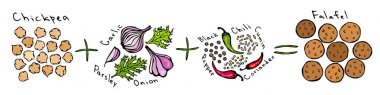 Tarifi Falafel DIY kullanım kılavuzu. Nohut soğan sarımsak maydanoz siyah ve kırmızı biber karabiber kimyon, kişniş. Sebzeler, otlar, Speaces. Gerçekçi elle çizilmiş şekil. Savoyar Doodle stili.
