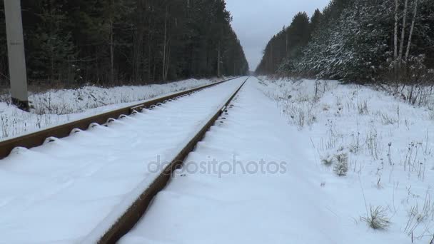 Automobile campagna strada, foresta bellezza, sfondo — Video Stock