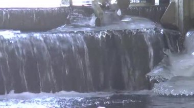 Bahar doğa uykudan uyanır