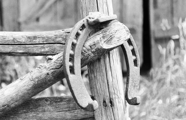 Vieux fer à cheval rouillé fixé sur des clous sur une vieille surface en bois — Photo