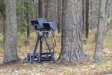 speed camera is standing in the forest. shallow depth of field. there is tinting clipart