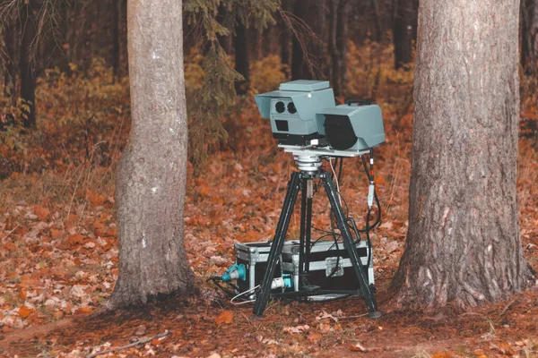 speed camera is standing in the forest. shallow depth of field. there is tinting