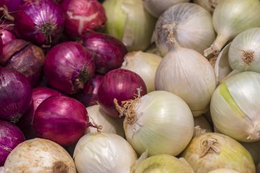 Küçük bir dükkan. Soğanlar sergileniyor. Kırmızı ve beyaz. yakın plan.