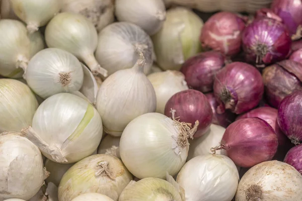 small shop. onions are on display. red and white. close-up.