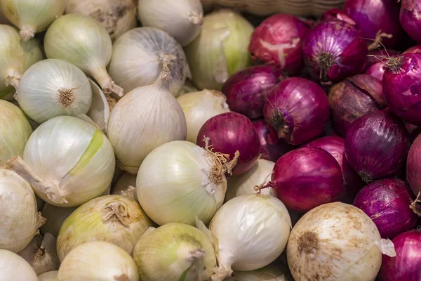 small shop. onions are on display. red and white. close-up.