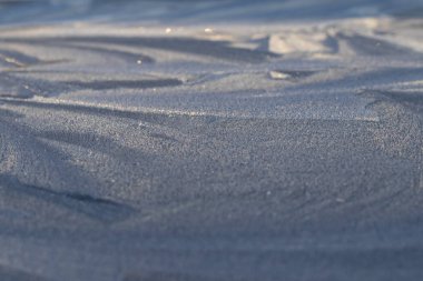 Doku. Kalın bir alan derinliği. Yumuşak odaklanma. Mavi metalde don var..