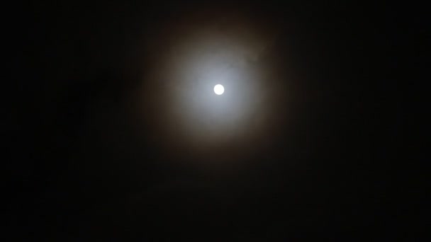 Luna Llena Foto Tomada Por Noche Foco Suave Teñido — Vídeos de Stock