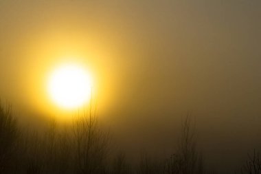 Yumuşak odaklanma. Sabah erkenden. Güneş çok parlak. Çok kalın ve yoğun bir sis.