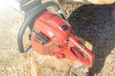 man sawing a big tree with a chainsaw. Sawdust. Close-up