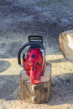 man sawing a big tree with a chainsaw. Sawdust. Close-up