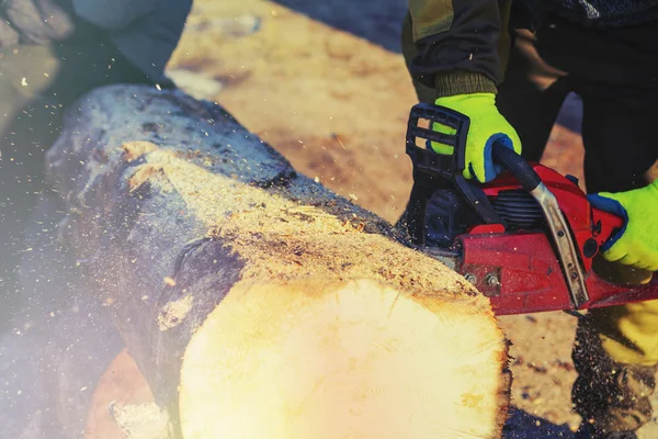 Man sawing a big tree with a chainsaw. Sawdust. Close-up — Stock Photo, Image