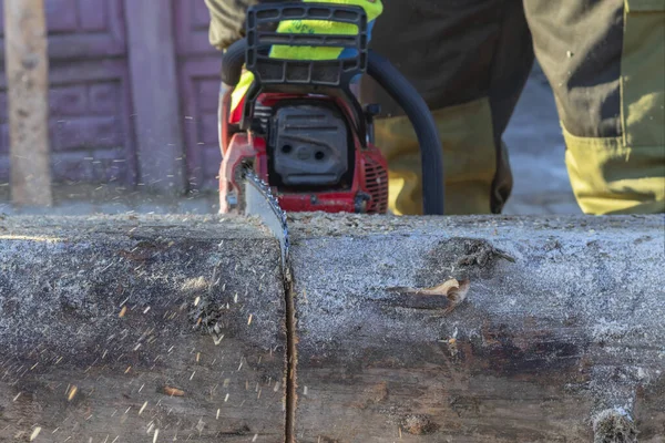 Man sawing a big tree with a chainsaw. Sawdust. Close-up — Stock Photo, Image