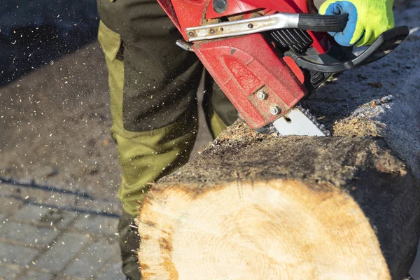 Man sawing a big tree with a chainsaw. Sawdust. Close-up — 스톡 사진