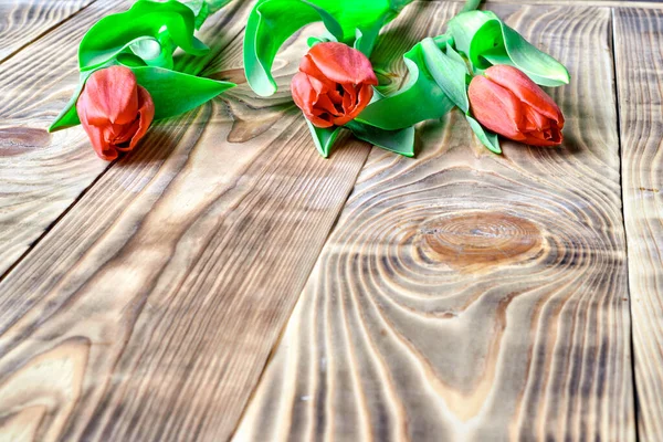 Tulpen Mit Roter Blume Liegen Auf Einem Hölzernen Hintergrund Nahaufnahme — Stockfoto
