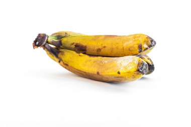 Daldaki meyveli muz. Çürümüş ürünler. Beyaz bir arkaplanda izole edilmiş.