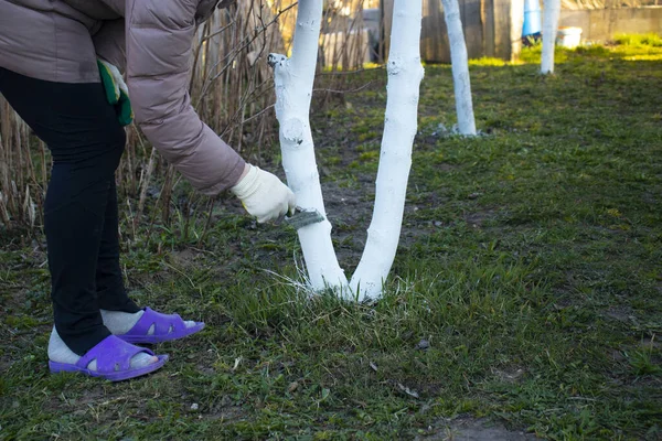 Gün ışığı. Bir kadın ağaca ahşap bir böcek çizer. Yakın plan.