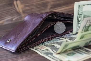 Tarçın cüzdanı. Beş rublesi var ve yanında 100 dolarlık banknotlar var. Döviz büyümesi kavramı.