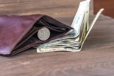 Tarçın cüzdanı. Beş rublesi var ve yanında 100 dolarlık banknotlar var. Döviz büyümesi kavramı.
