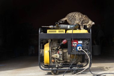 Acil bir durumda elektrik sağlamak için tek başına dizel jeneratör. Sarı renk. Büyük bir konut binasına hizmet etmiyor. Üzerinde elektrikli matkap var. Evcil bir kedi oturuyor..