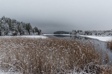 Karlı manzara su ve buz bakan