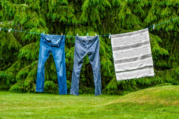 Pantalones y una alfombra colgando para secar — Foto de Stock