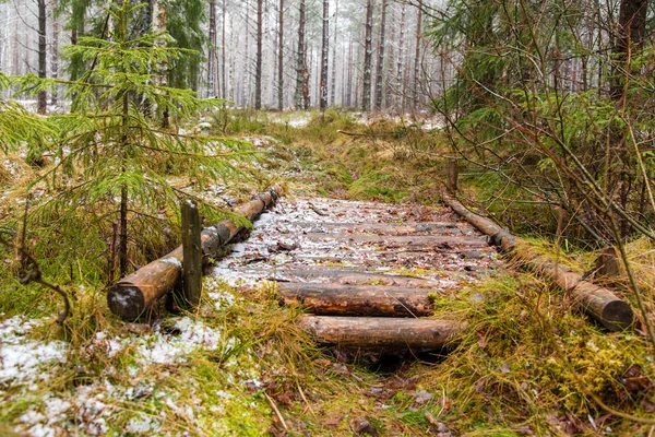 Egy régi fahíd, egy svéd erdő — Stock Fotó