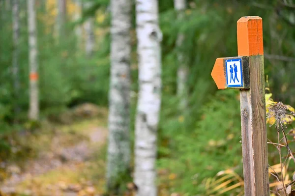 Стежка через ліс у Швеції позначена помаранчевим. — стокове фото