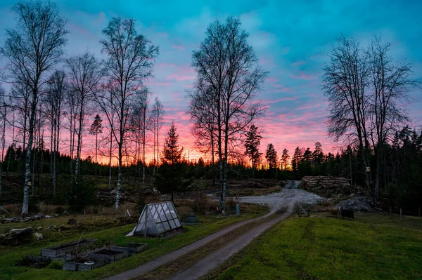Cielo notturno colorato sul giardino e sulla foresta — Foto Stock