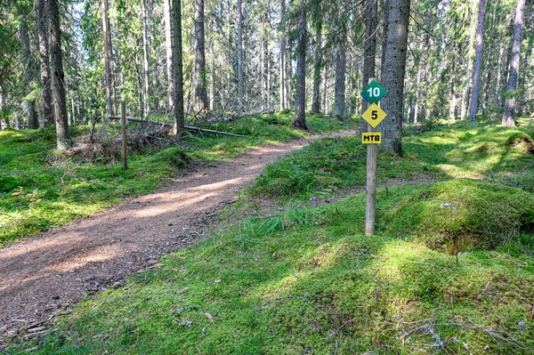 Pistes de formation à travers la forêt verte d'été en Suède — Photo