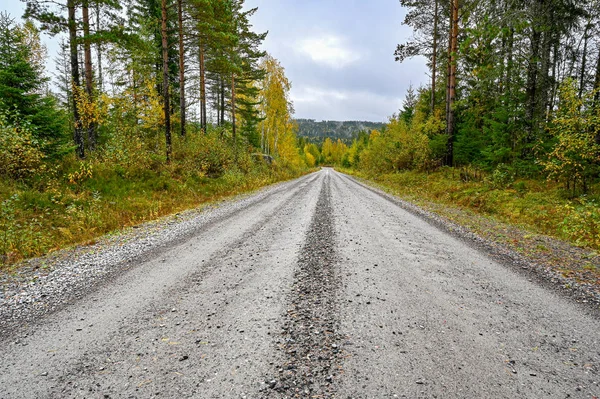 Grindweg door bos in Varmland Zweden — Stockfoto