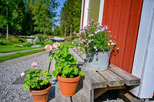 Flowers on stairs infront of a red wooden cabin — ストック写真