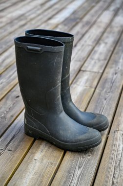 Ahşap güvertede duran bir çift yeşil kuyu