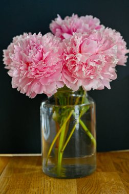 Büyük pembe şakayık çiçekleri mutfaktaki bir evin içinde