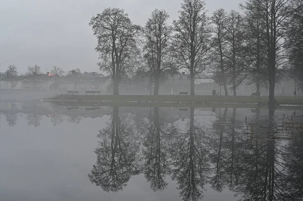 Trees reflecting in lake a misty evening — Stock Photo, Image