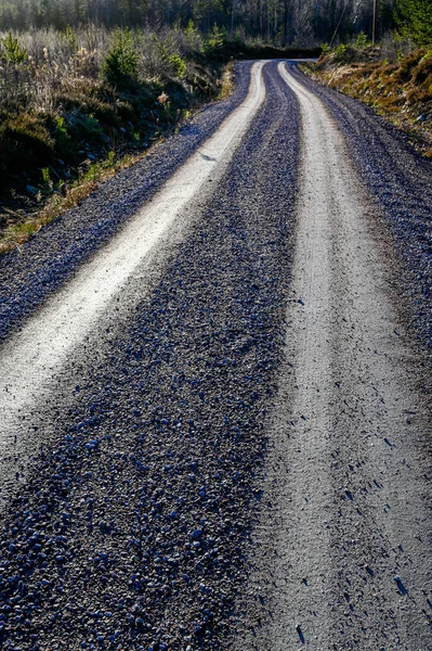 Straight gravel road through swedish forest in Varmland — Stockfoto
