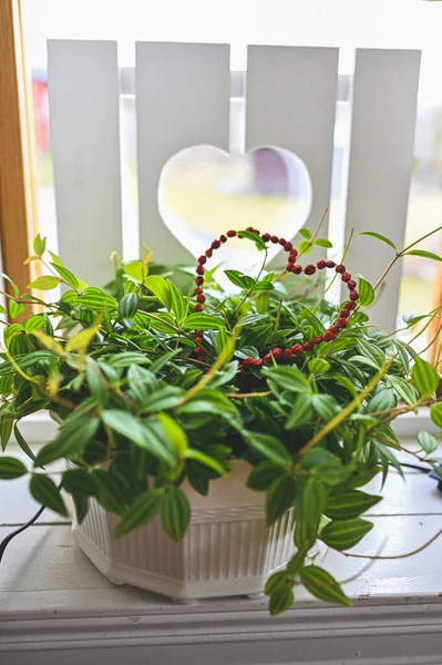 pot plant with heart shaped lingonberry decoration
