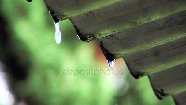 Gotas de lluvia gotean por el techo de metal corrugado durante la temporada de lluvias. Primer plano. — Vídeos de Stock